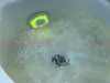 ST-LA2 transparent pipeline free pump magnetic head with light
